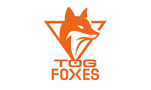 TOG – Team Orange Gaming